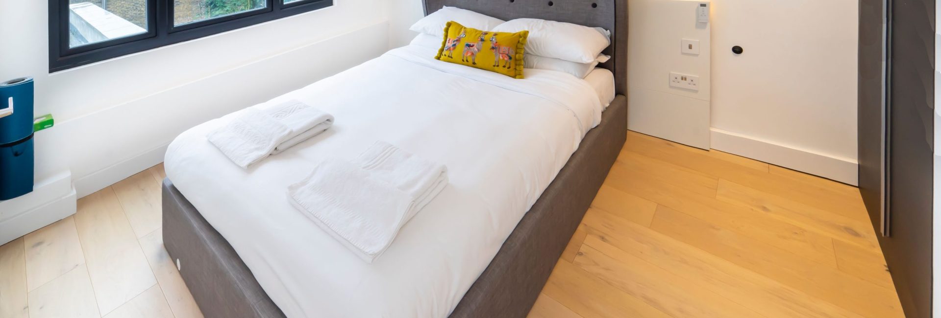 Modern Duplex in Ealing Common