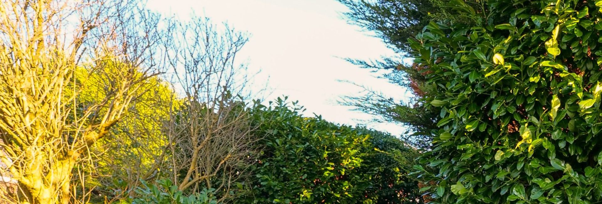 Finchley Central 3BR Flat + Private Garden