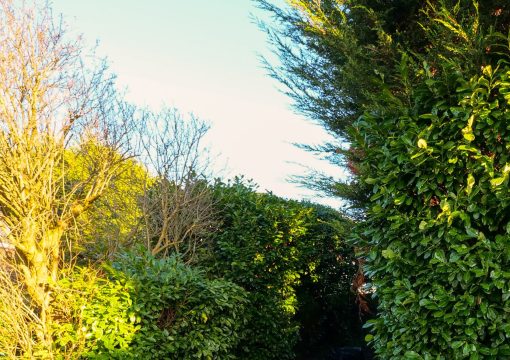 Finchley Central 3BR Flat + Private Garden